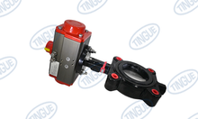 BUTTERFLY VALVE,  3