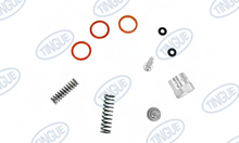 REBUILD KIT, MANIFOLD INJECTOR