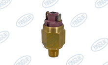 EUROSWITCH, PRESSURE SENSOR РНММ - G1/8 - 0.1/1bar NA 4111120