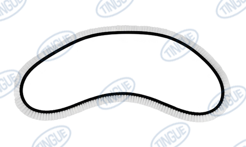 V-BELT BRUSH/A-79 L =2007/2043MM