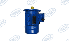 VACUUM MOTOR FOR 8022004