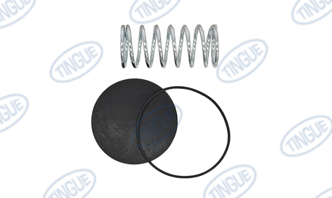 SEALING KIT F. DRAIN VALVE2 1/2&#39; NIRO