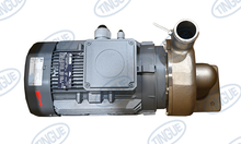 PUMP ME750/15-VF/2,5/3000/W230-400/50/IE3/Y501/Z141