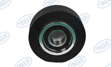 ROLLER D 300 X 954P18-1302.09