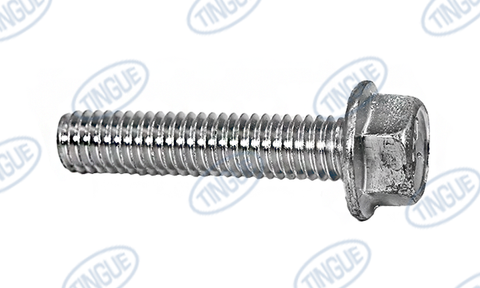 HEX SCREW