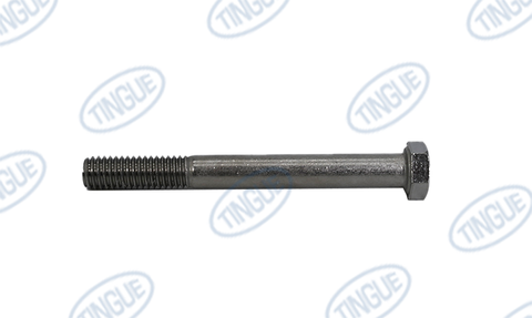 HEX CAP SCREW