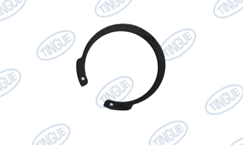 RETAINING RING