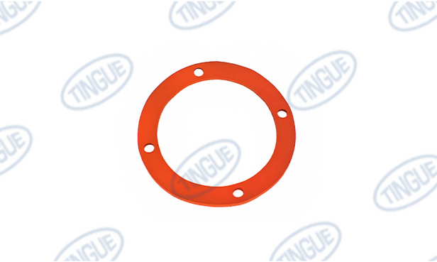 GASKET, DUMP VALVE
