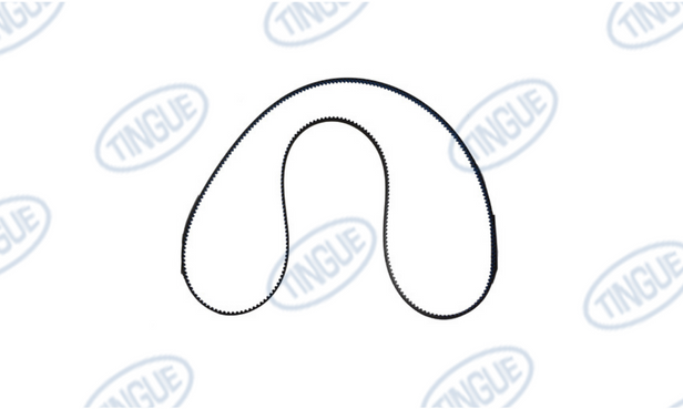 BELT, POLYCHAIN