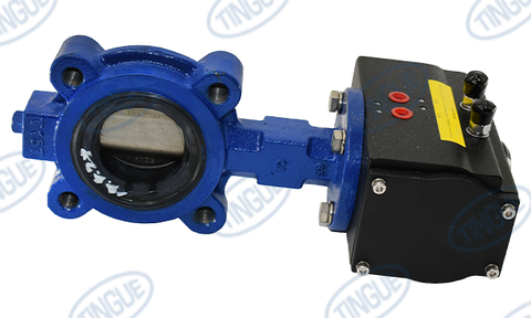 2-1/2" BUTTERFLY VALVE ASSEMBLY (Z452 / 450LB & Z462 / 675LB)